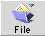 File Button
